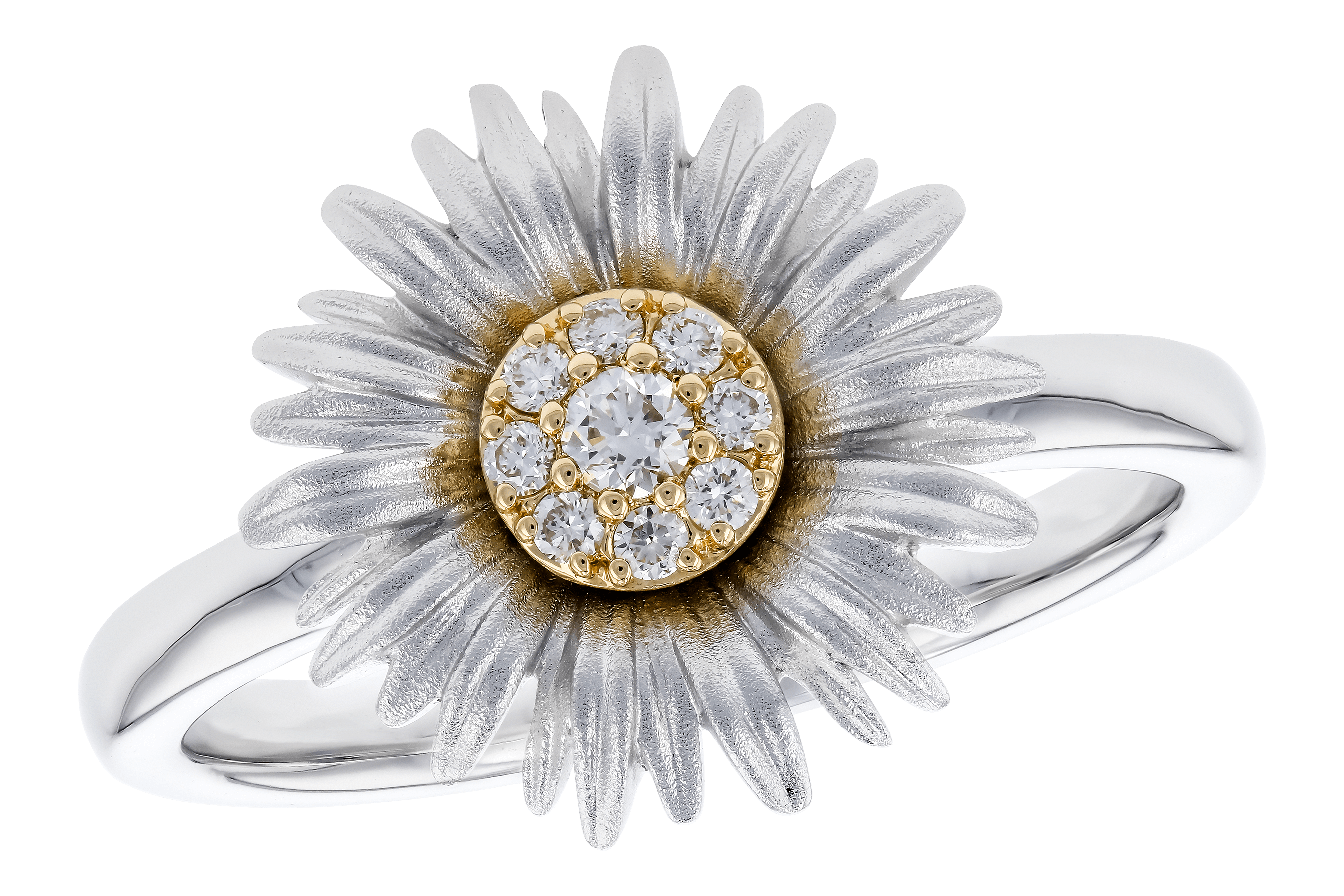 C282-94334: LDS DIA RG .10 TW